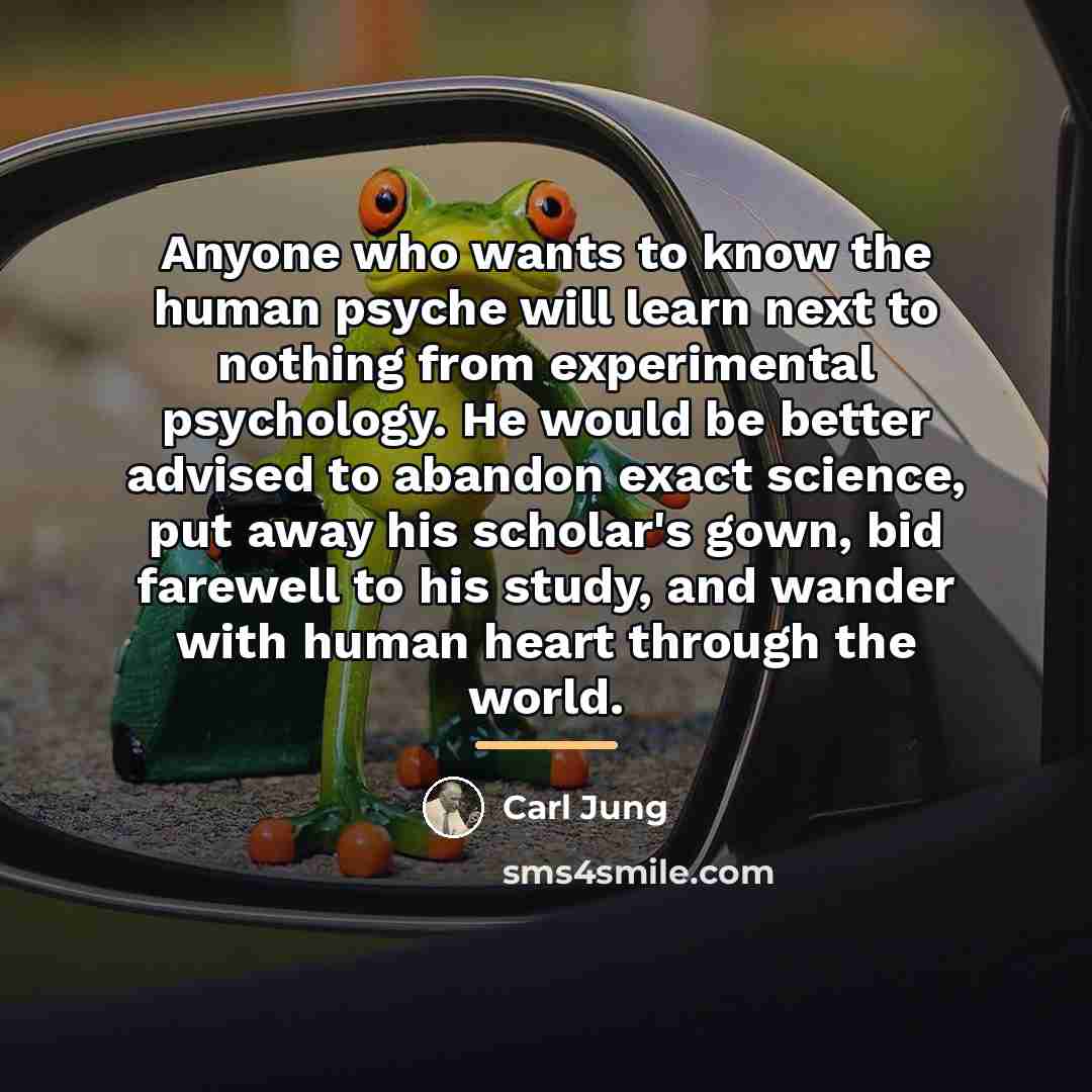 “Anyone who wants to know the human psyche will learn…” quote by Carl Jung