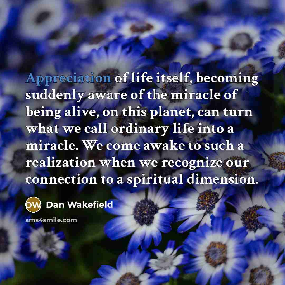 “Appreciation of life itself, becoming suddenly aware of the miracle…” quote by Dan Wakefield