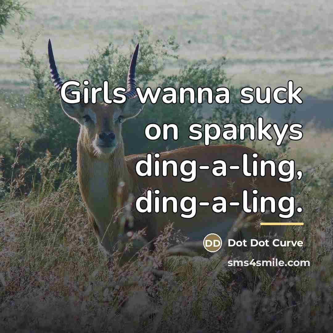 “Girls wanna suck on spankys ding-a-ling, ding-a-ling.…” quote by Dot Dot Curve