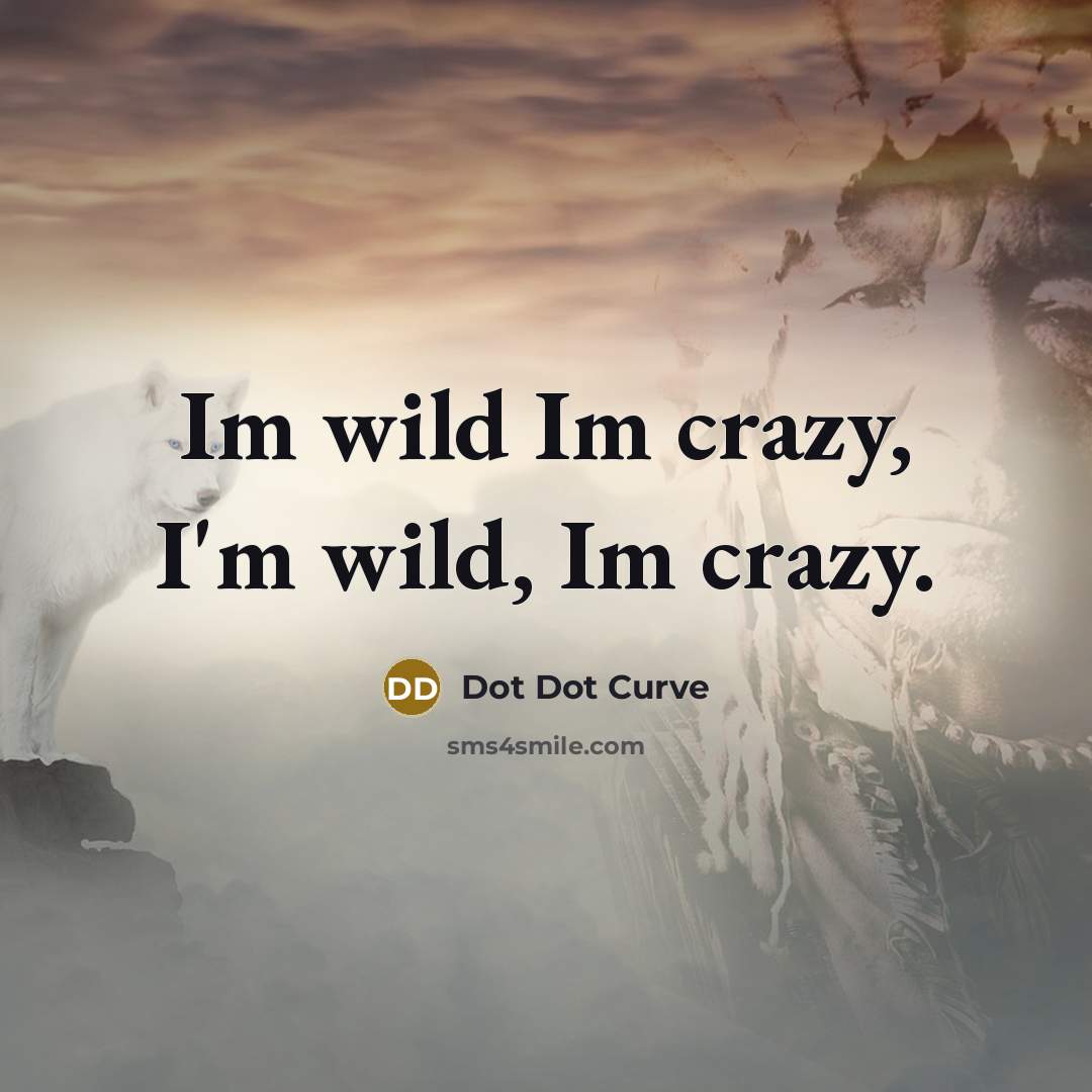 “Im wild Im crazy, I'm wild, Im crazy.…” quote by Dot Dot Curve