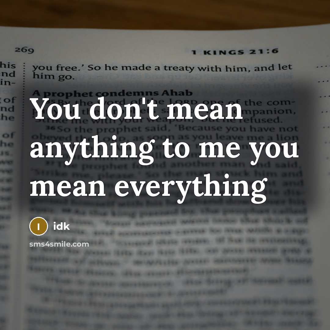“You don't mean anything to me you mean everything” quote by Idk
