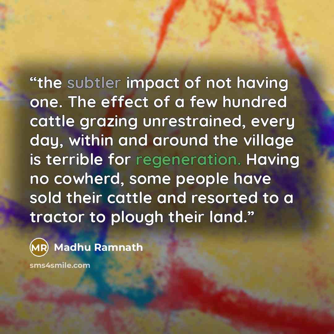 “the subtler impact of not having one. The effect of a few hundred cattle grazing unrestrained, every day, within and around the village is terrible for regeneration. Having no cowherd, some people have sold their cattle and resorted to a tractor to plough their land.” quote by Madhu Ramnath