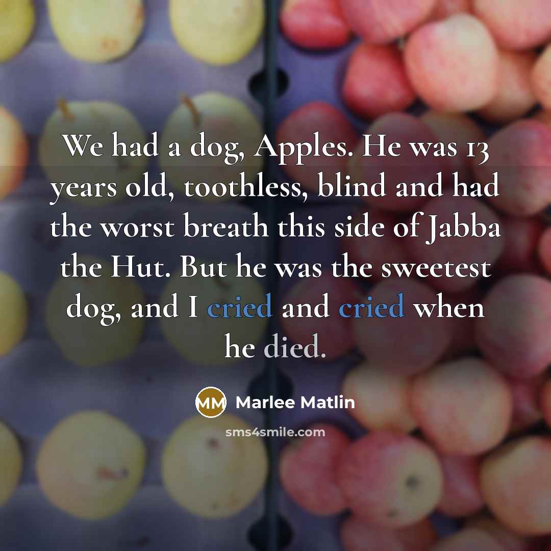 “We had a dog, Apples. He was 13 years old, toothless, blind and had the worst breath this side of Jabba the Hut. But he was the sweetest dog, and I cried and cried when he died.” quote by Marlee Matlin