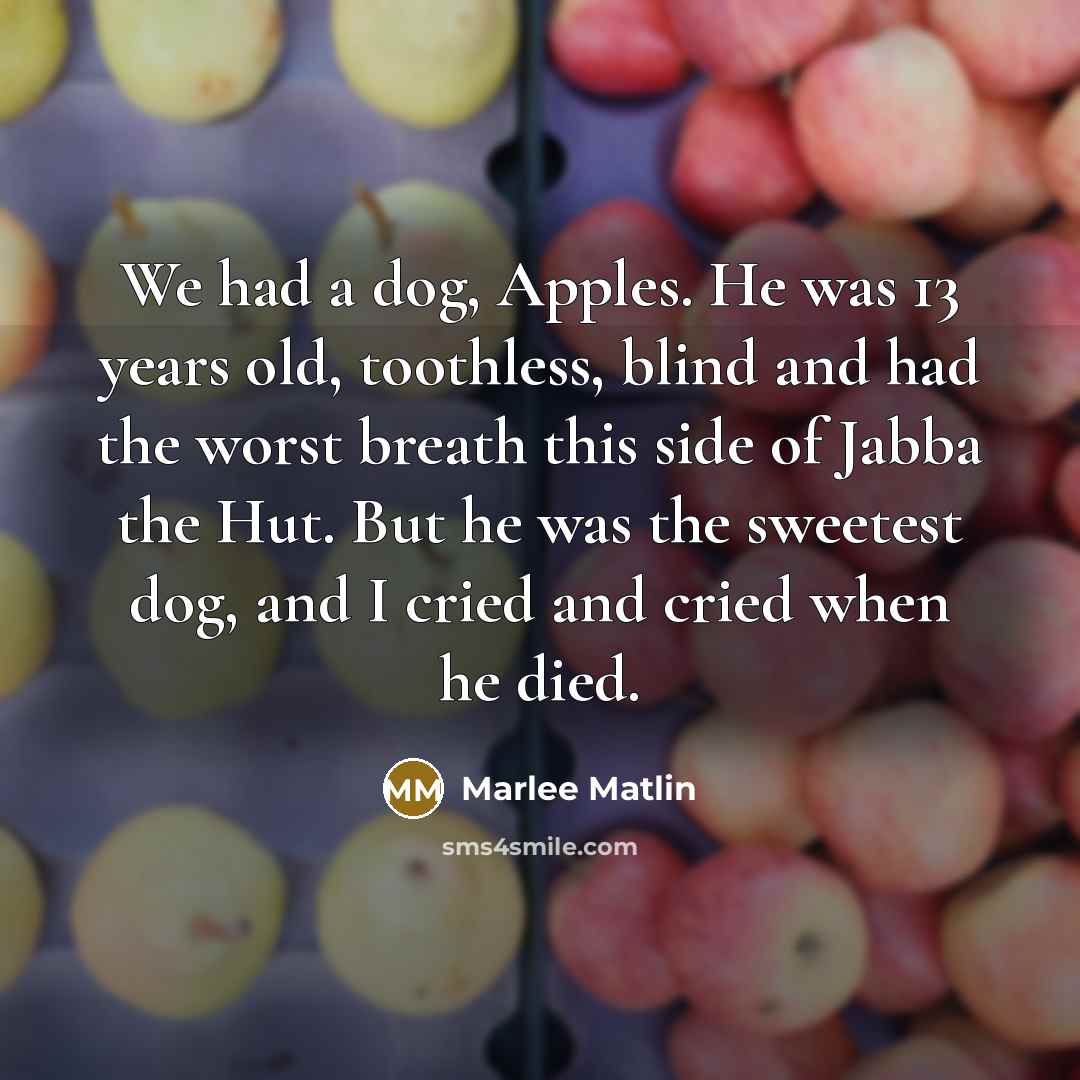 “We had a dog, Apples. He was 13 years old,…” quote by Marlee Matlin