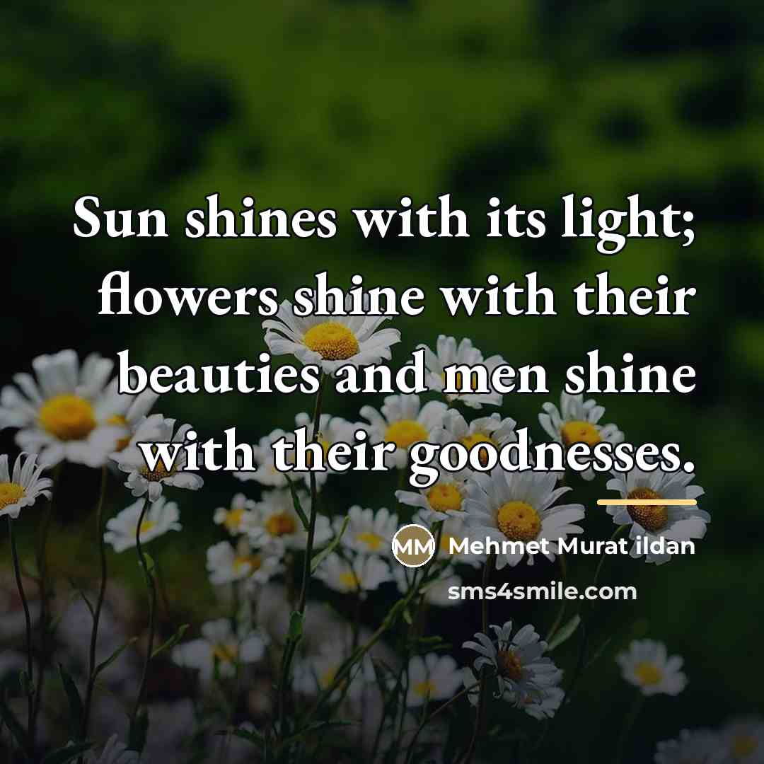 “Sun shines with its light; flowers shine with their beauties…” quote by Mehmet Murat Ildan