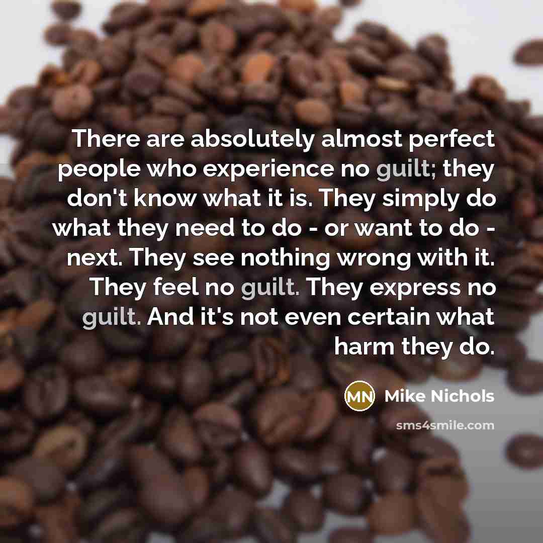 “There are absolutely almost perfect people who experience no guilt;…” quote by Mike Nichols