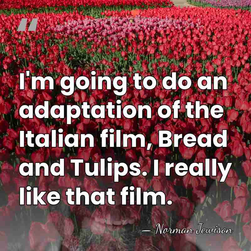 I'm going to do an adaptation of the Italian film, Bread and&hellip; - Norman Jewison