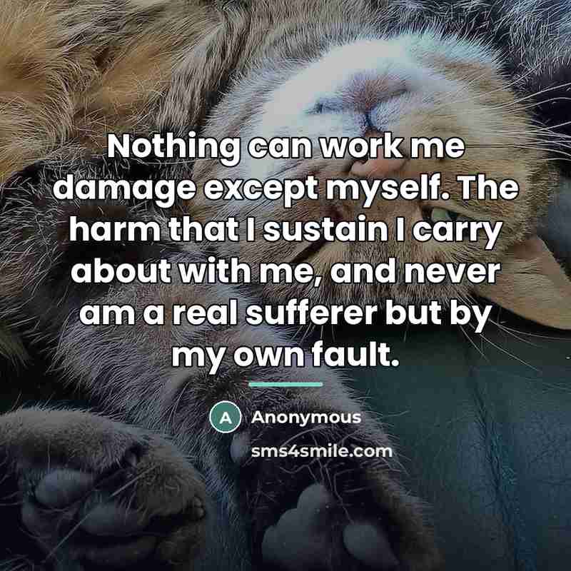 “Nothing can work me damage except myself. The harm that…” quote by Anonymous