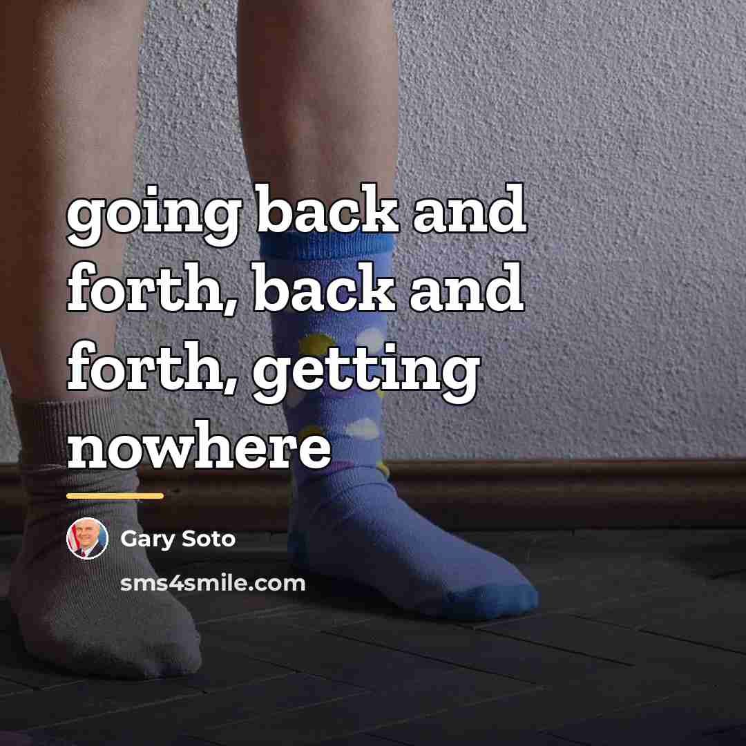 “going back and forth, back and forth, getting nowhere…” quote by Gary Soto