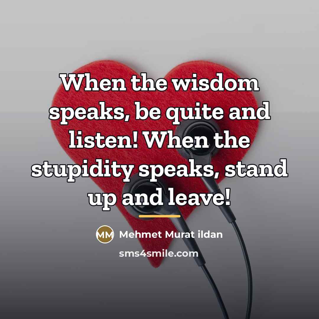 “When the wisdom speaks, be quite and listen! When the…” quote by Mehmet Murat Ildan