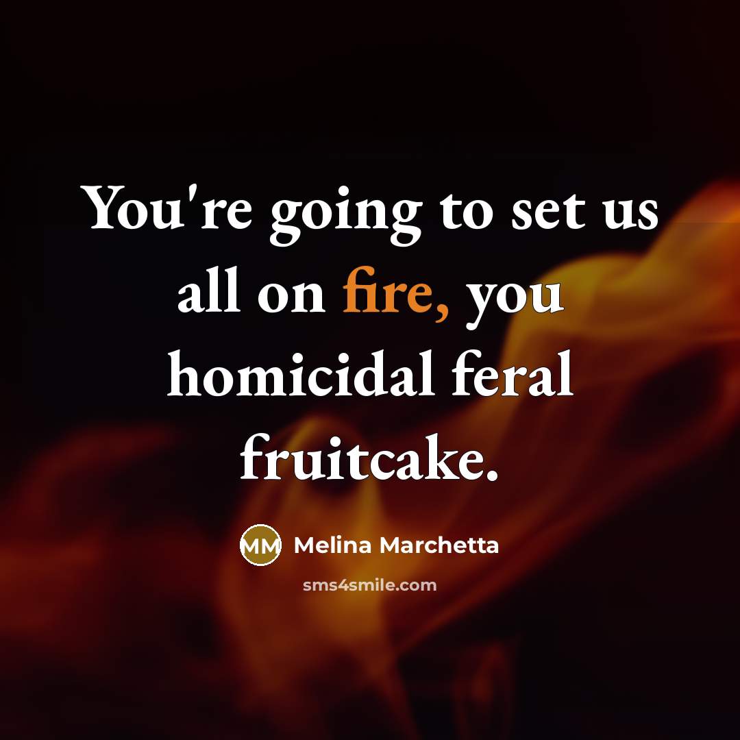 “You're going to set us all on fire, you homicidal…” quote by Melina Marchetta