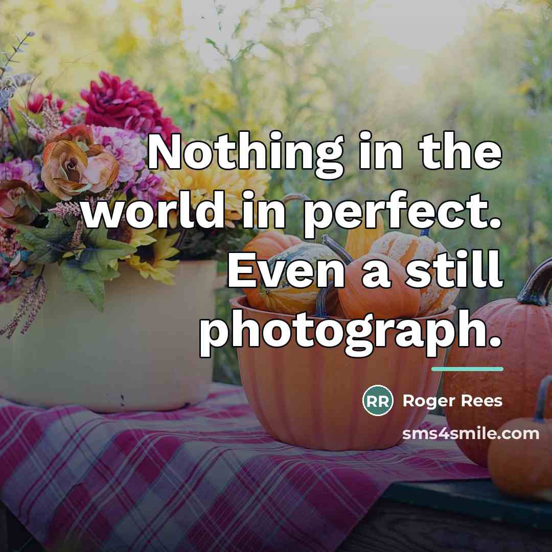 “Nothing in the world in perfect. Even a still photograph.…” quote by Roger Rees