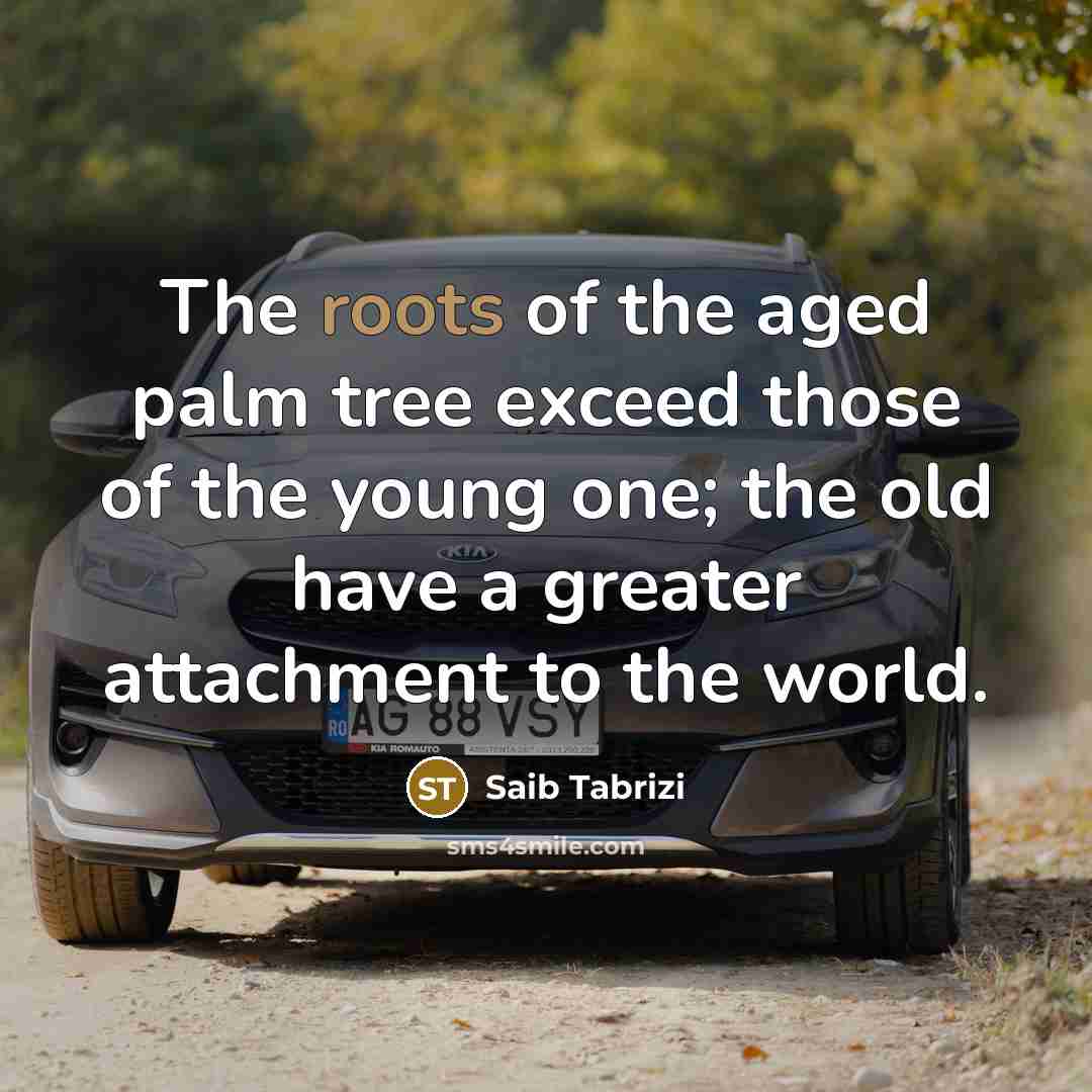 “The roots of the aged palm tree exceed those of…” quote by Saib Tabrizi