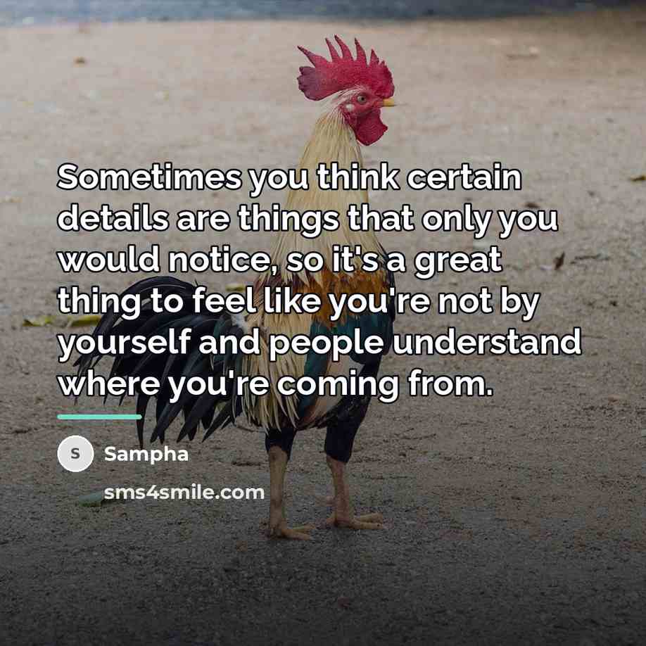 “Sometimes you think certain details are things that only you…” quote by Sampha