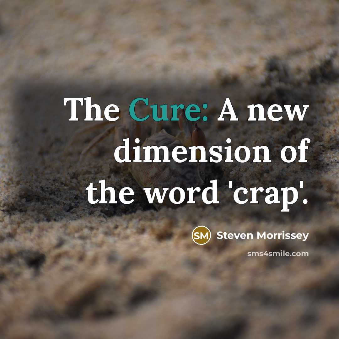 “The Cure: A new dimension of the word 'crap'.…” quote by Steven Morrissey