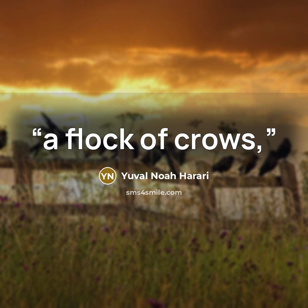 “a flock of crows,” quote by Yuval Noah Harari