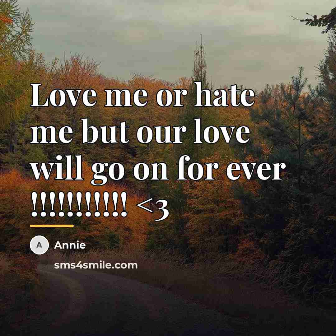 “Love me or hate me but our love will go…” quote by Annie