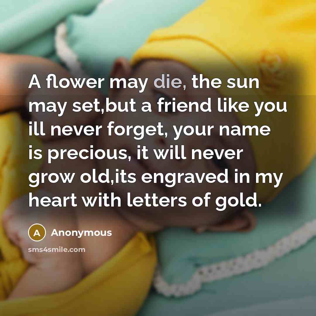 “A flower may die, the sun may set,but a friend…” quote by Anonymous