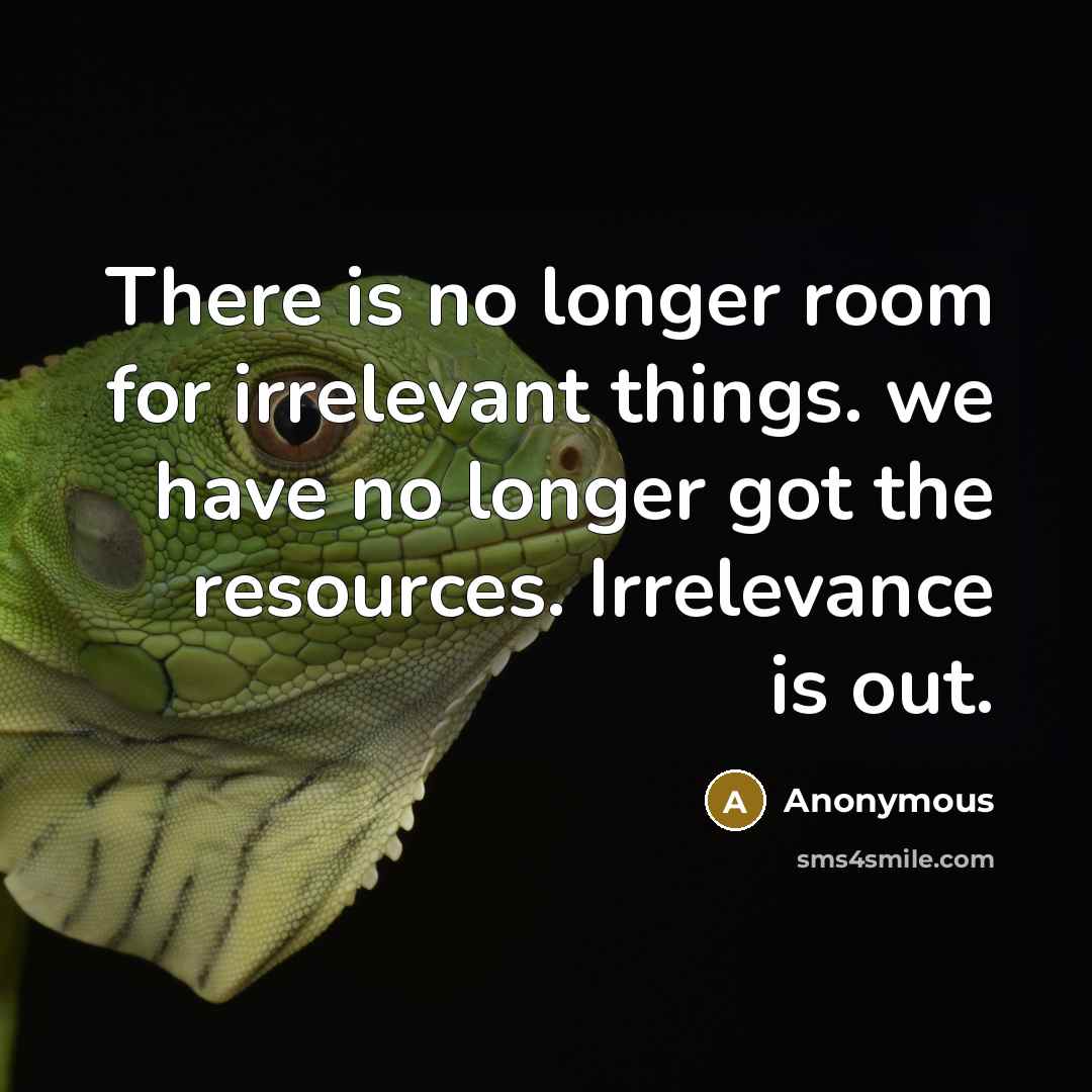 “There is no longer room for irrelevant things. we have no longer got the resources. Irrelevance is out.” quote by Anonymous