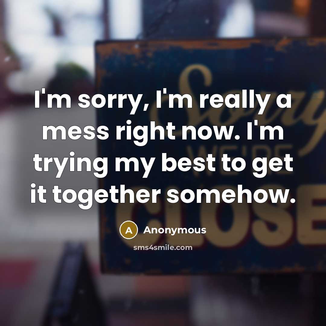 “I'm sorry, I'm really a mess right now. I'm trying…” quote by Anonymous