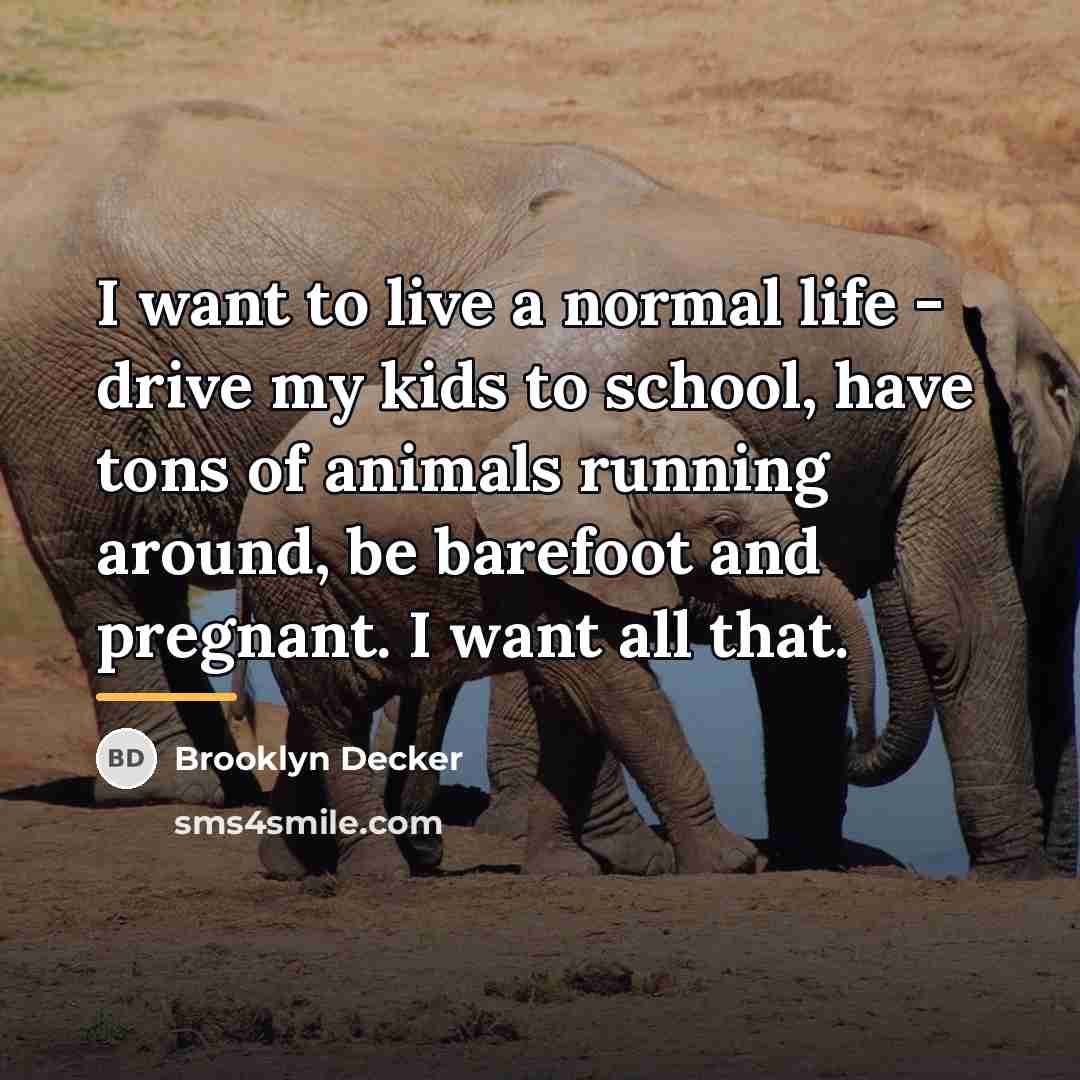“I want to live a normal life - drive my…” quote by Brooklyn Decker
