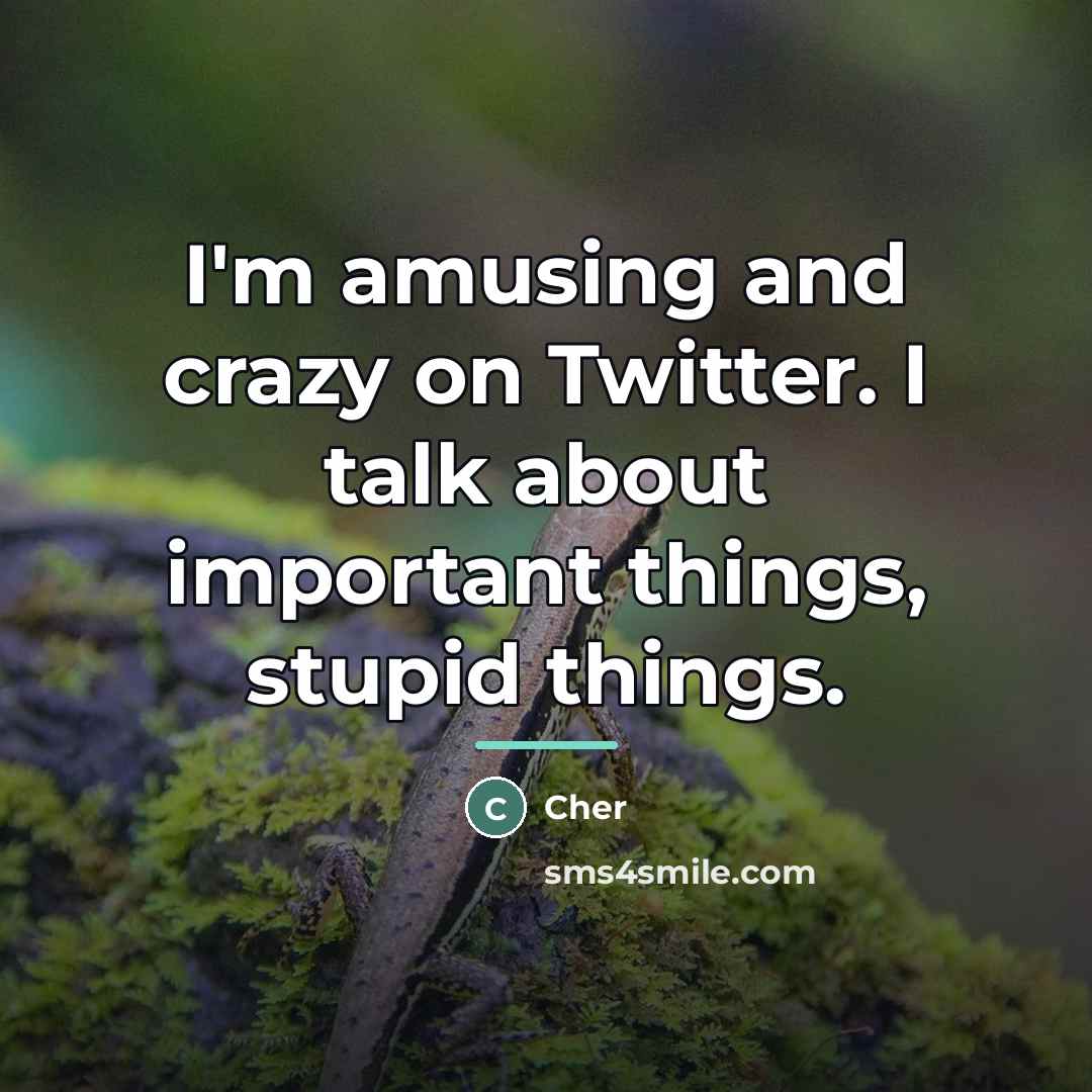 “I'm amusing and crazy on Twitter. I talk about important…” quote by Cher