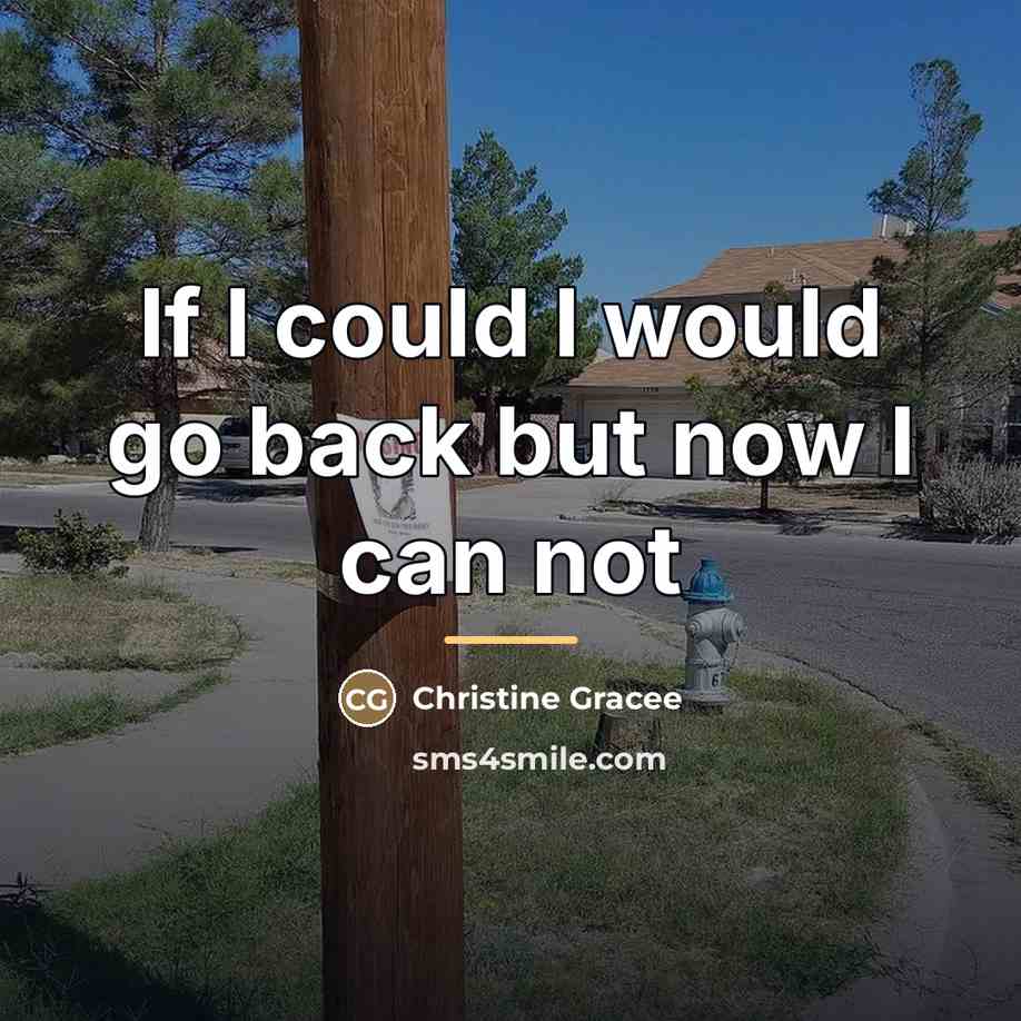 “If I could I would go back but now I…” quote by Christine Gracee