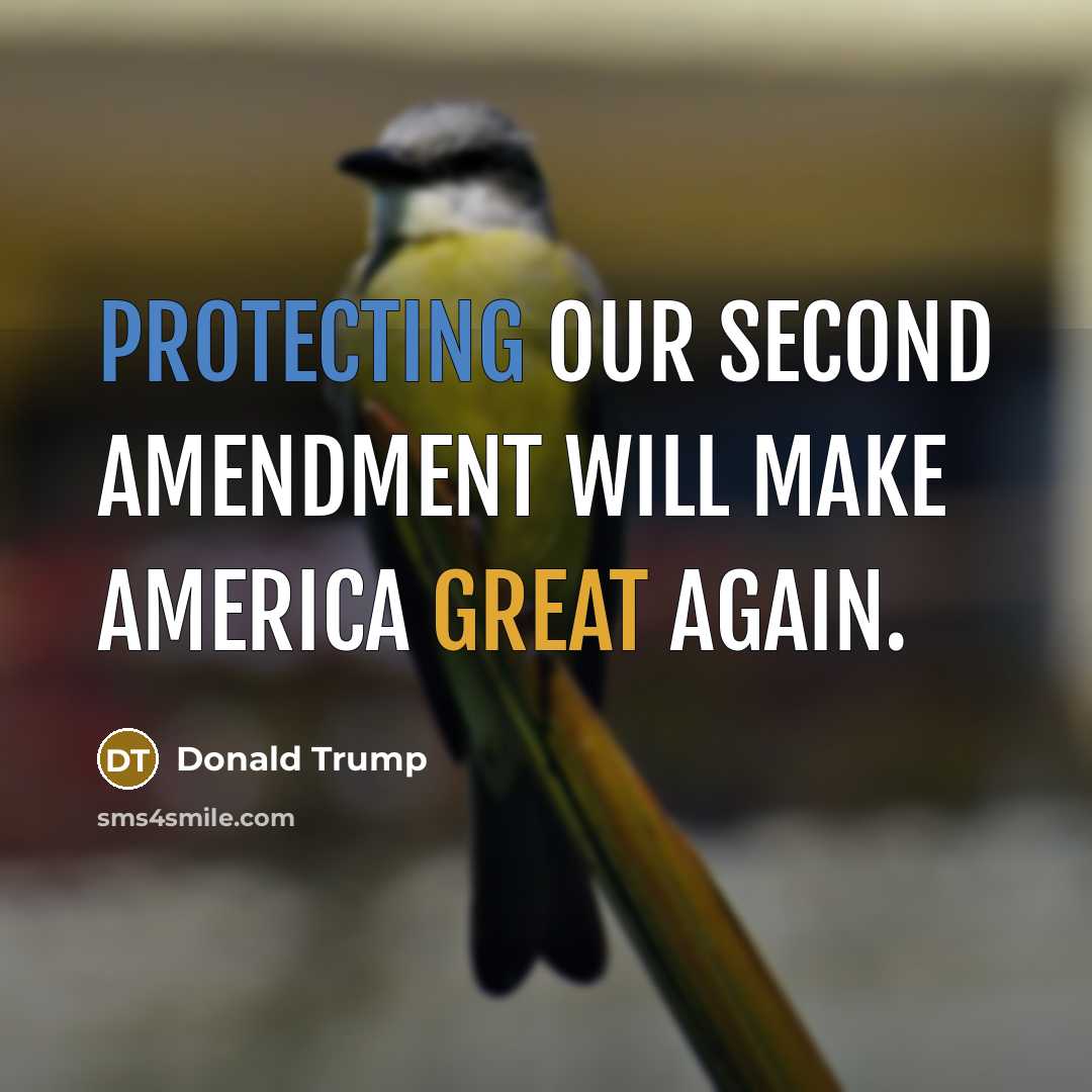 “Protecting our second amendment will make America great again.” quote by Donald Trump