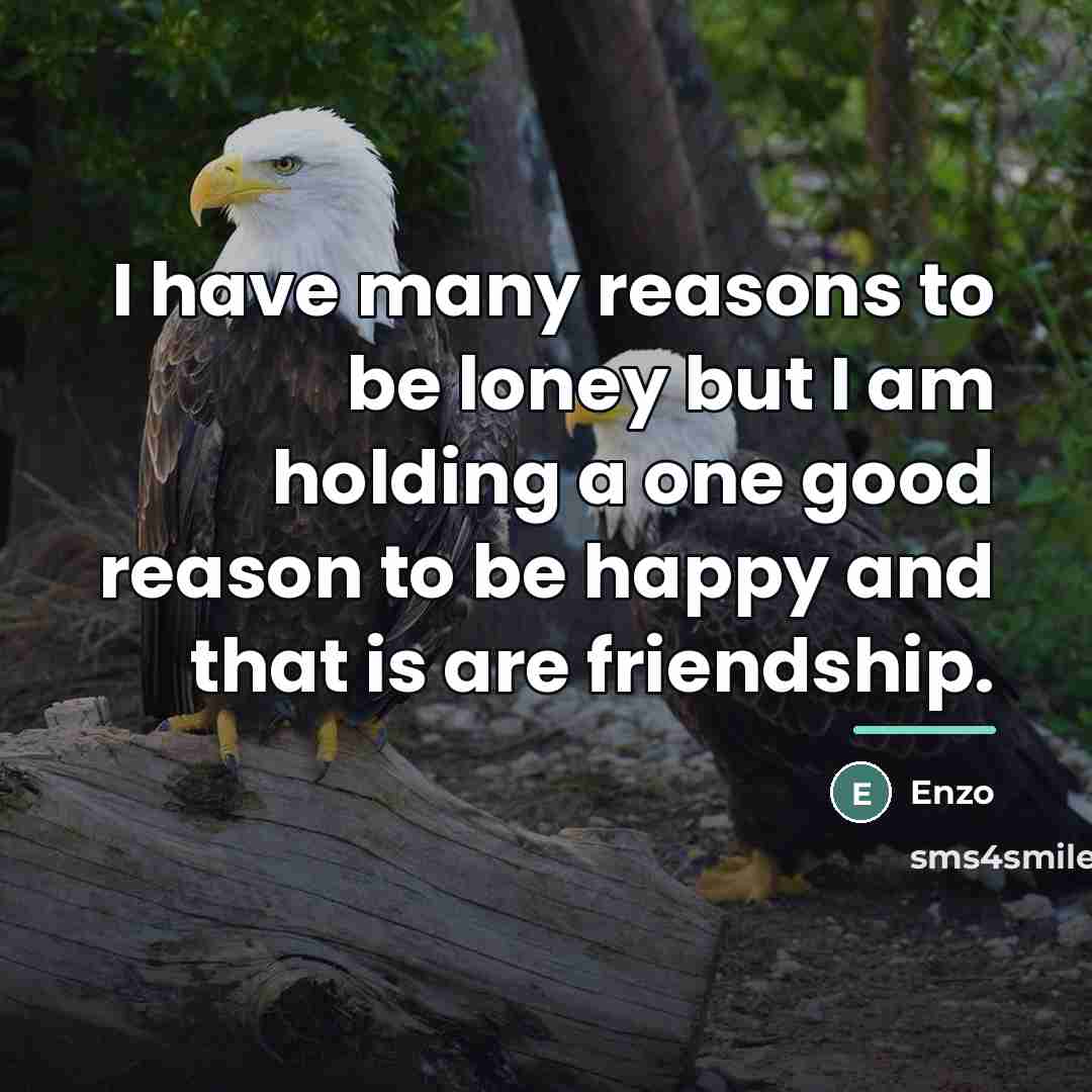 “I have many reasons to be loney but I am…” quote by Enzo
