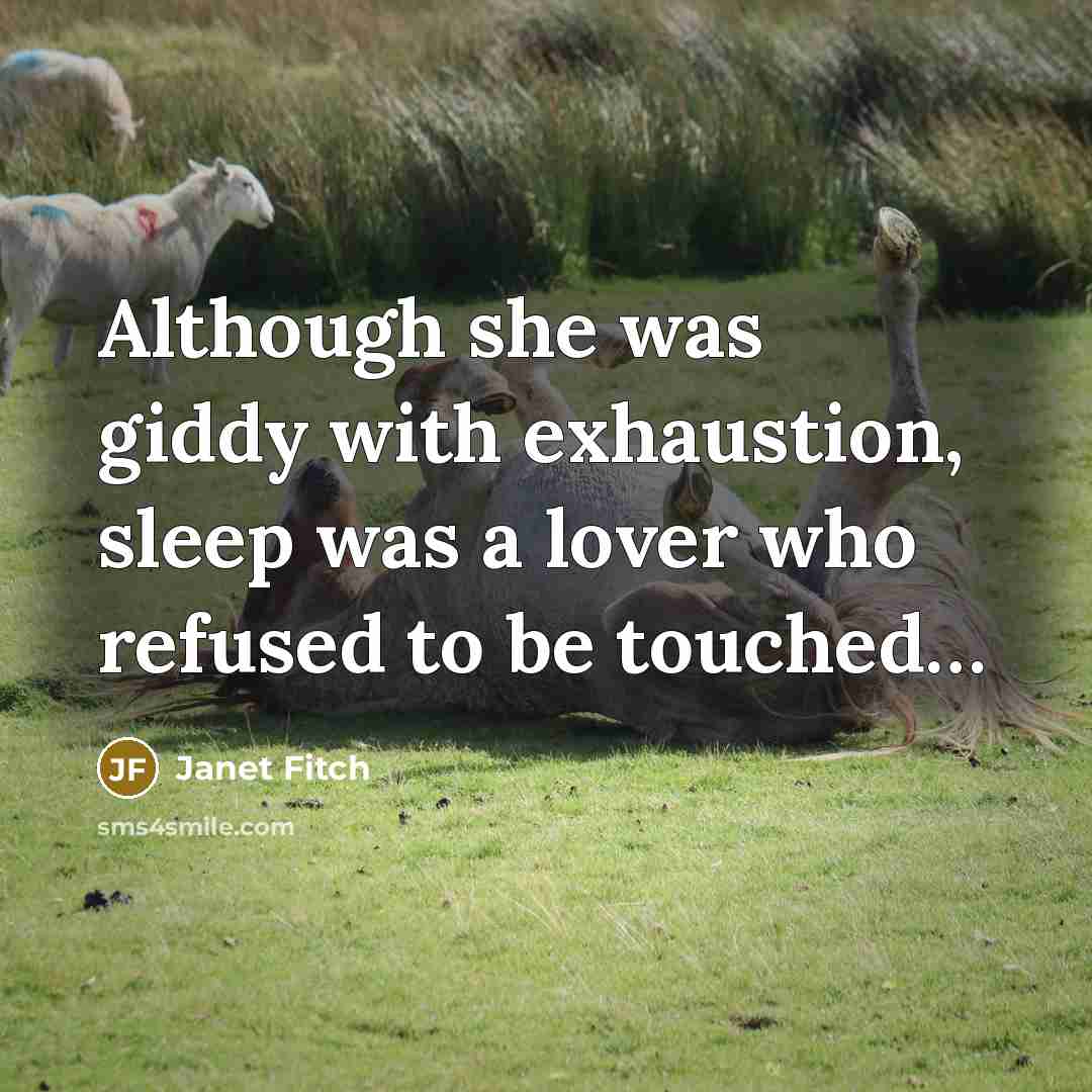 “Although she was giddy with exhaustion, sleep was a lover…” quote by Janet Fitch