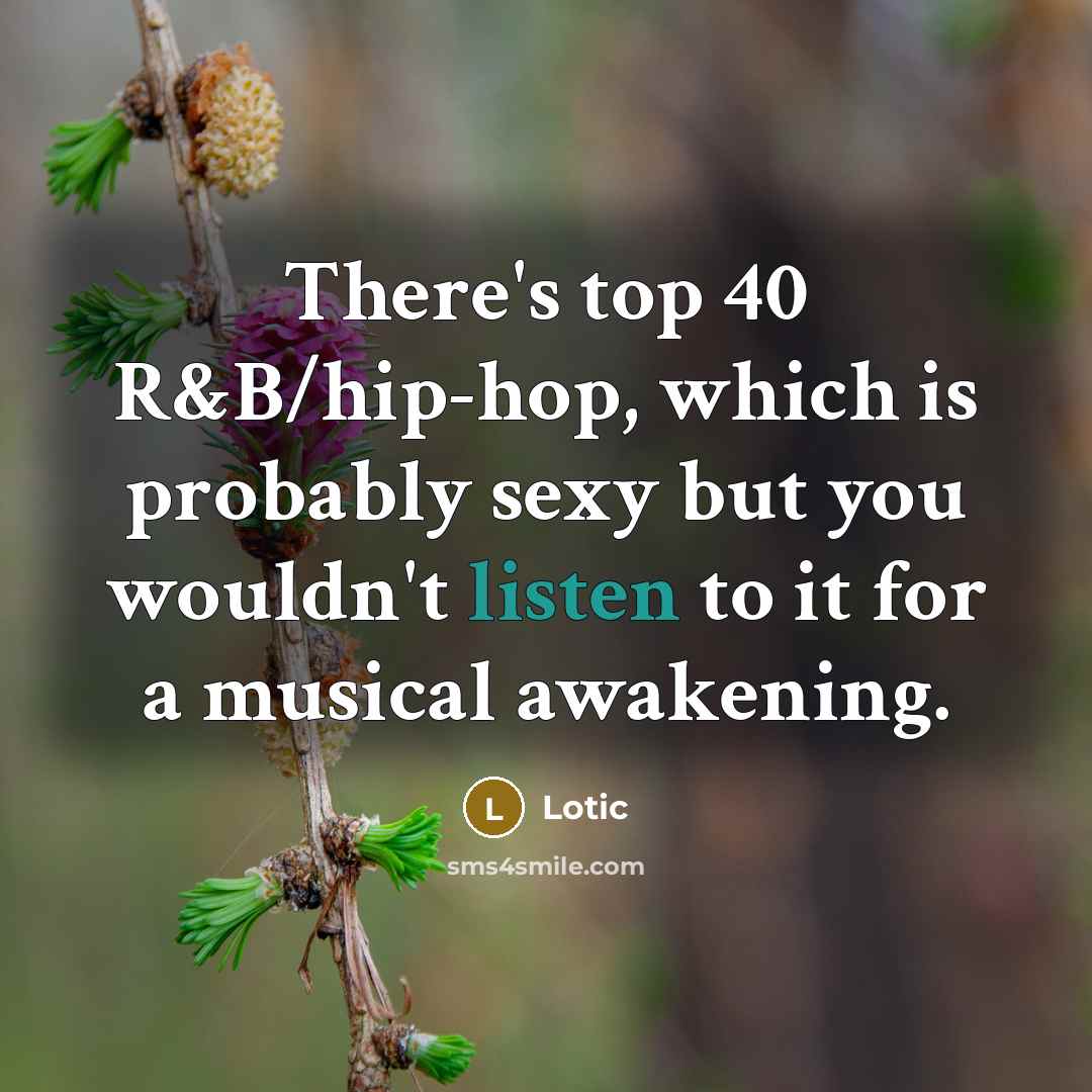 “There's top 40 R&B/hip-hop, which is probably sexy but you…” quote by Lotic