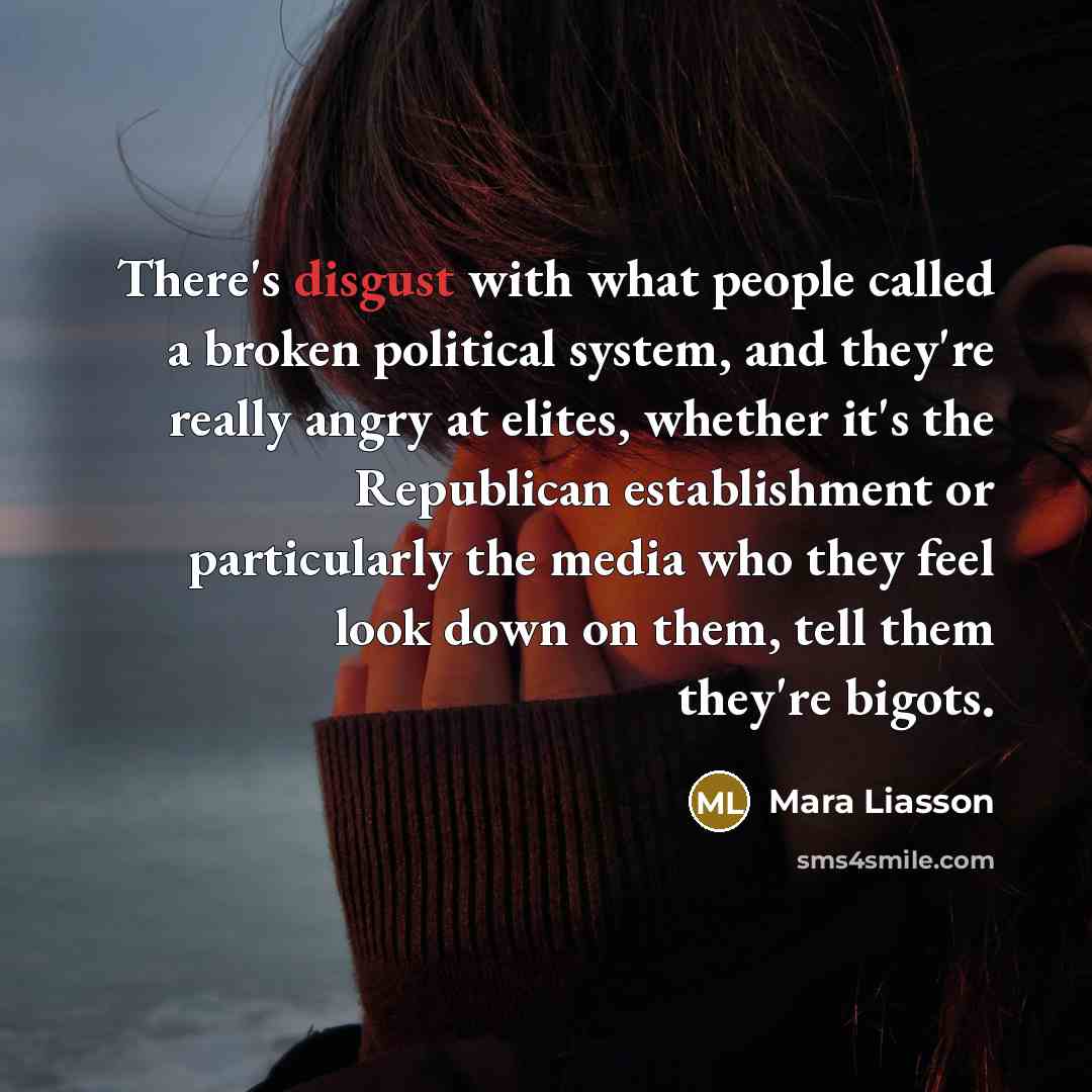 “There's disgust with what people called a broken political system,…” quote by Mara Liasson