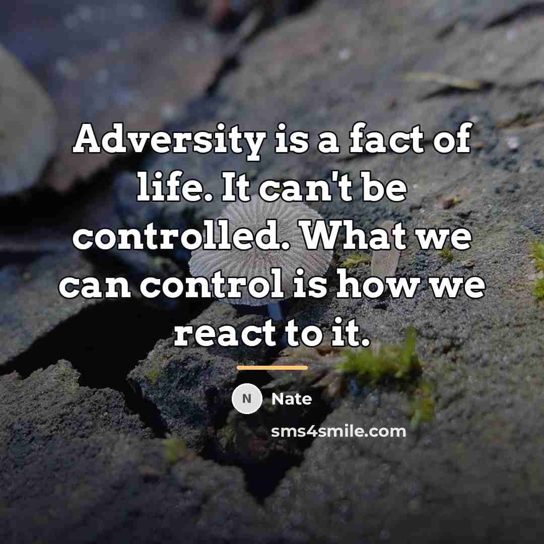 “Adversity is a fact of life. It can't be controlled.…” quote by Nate