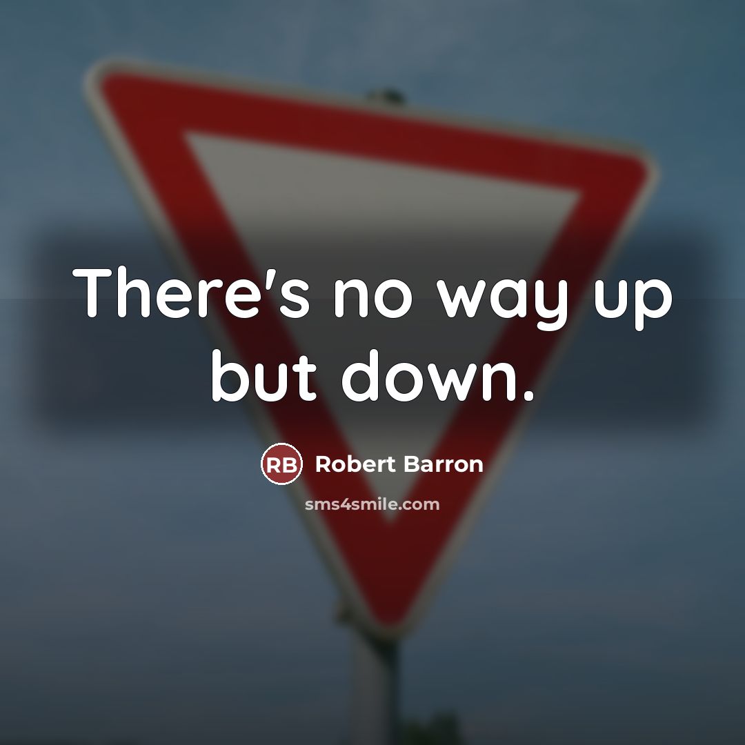 “There's no way up but down.…” quote by Robert Barron