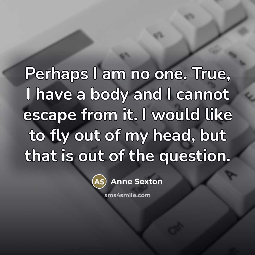 “Perhaps I am no one. True, I have a body…” quote by Anne Sexton