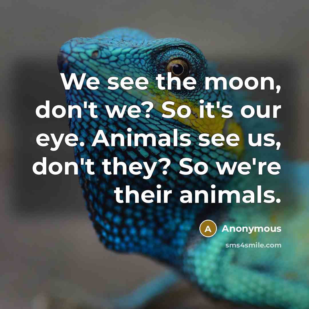 “We see the moon, don't we? So it's our eye.…” quote by Anonymous