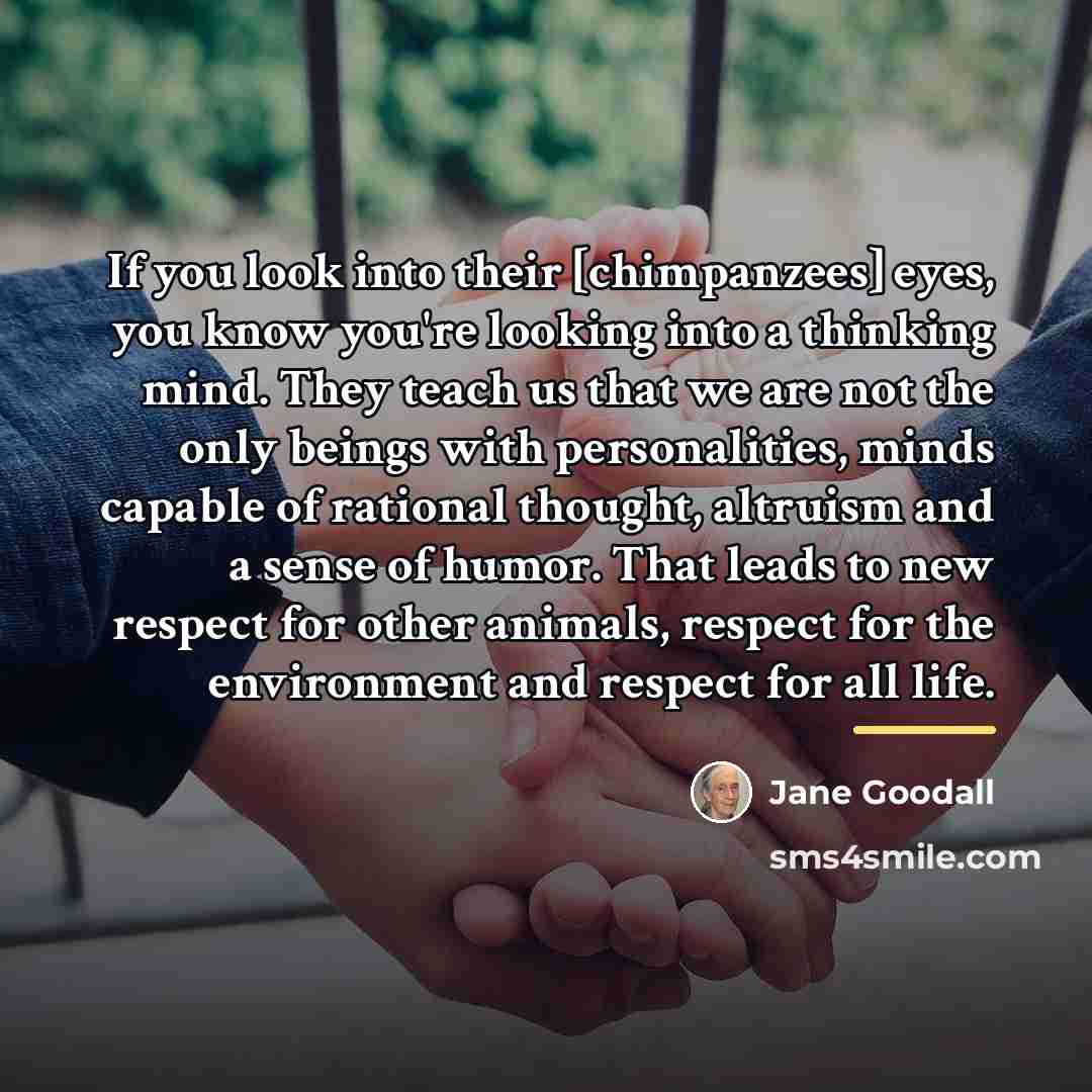 “If you look into their [chimpanzees] eyes, you know you're…” quote by Jane Goodall