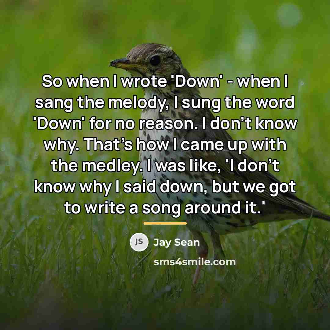 “So when I wrote 'Down' - when I sang the…” quote by Jay Sean