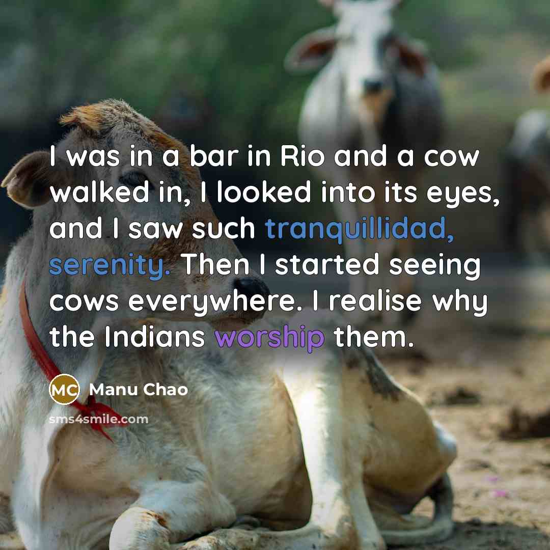 “I was in a bar in Rio and a cow…” quote by Manu Chao