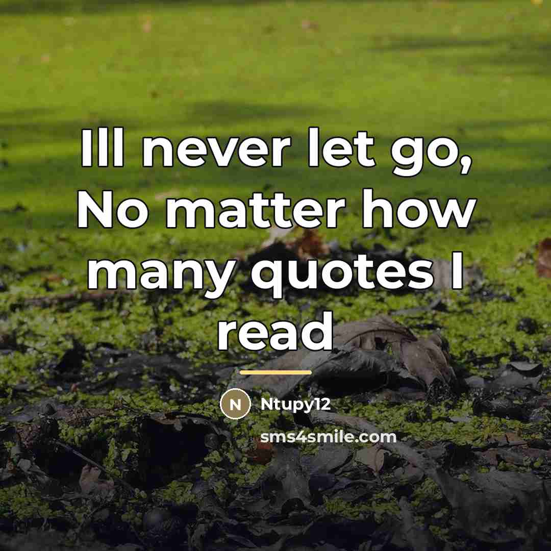 “Ill never let go, No matter how many quotes I…” quote by Ntupy12