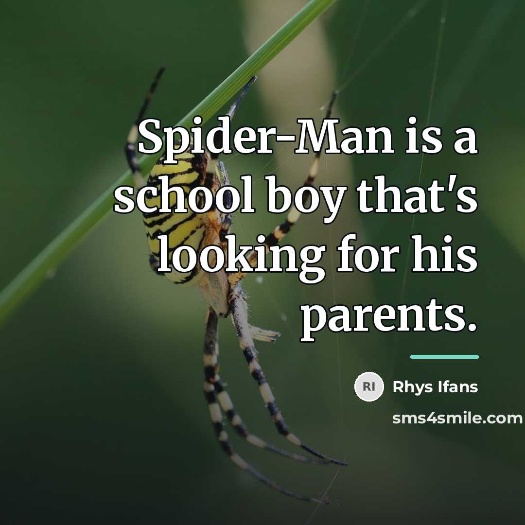 “Spider-Man is a school boy that's looking for his parents.…” quote by Rhys Ifans