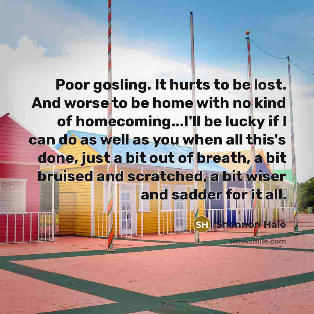 “Poor gosling. It hurts to be lost. And worse to…” quote by Shannon Hale