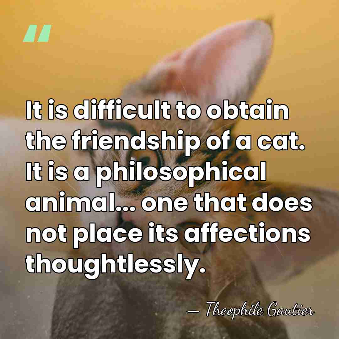 It is difficult to obtain the friendship of a cat. It is&hellip; - Theophile Gautier
