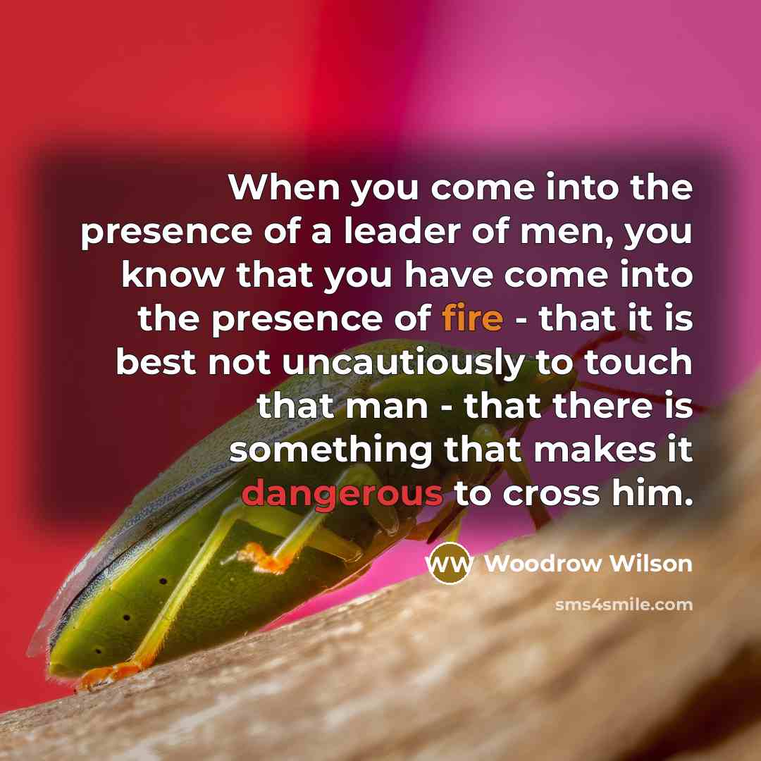 “When you come into the presence of a leader of…” quote by Woodrow Wilson