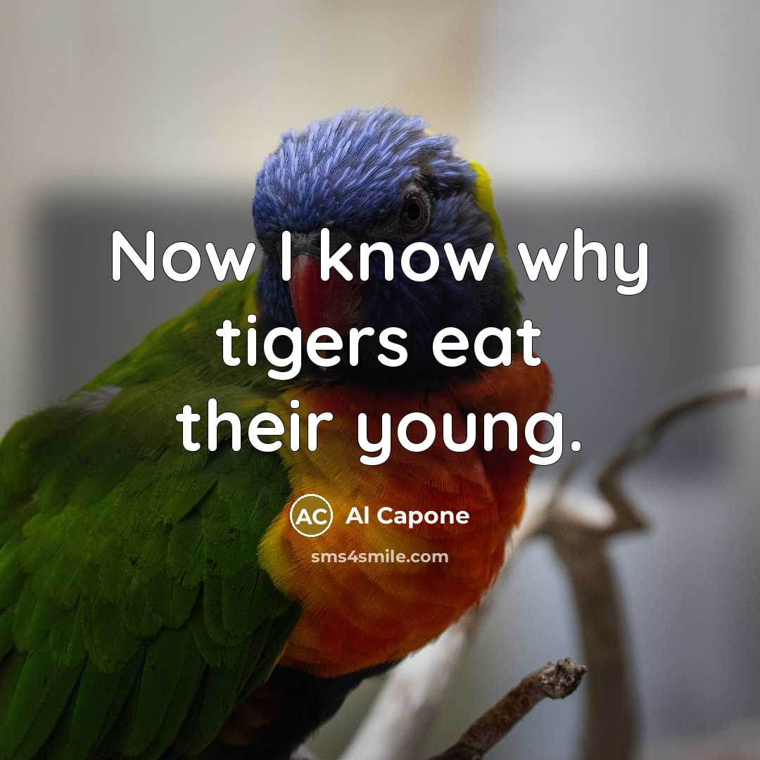 “Now I know why tigers eat their young.” quote by Al Capone