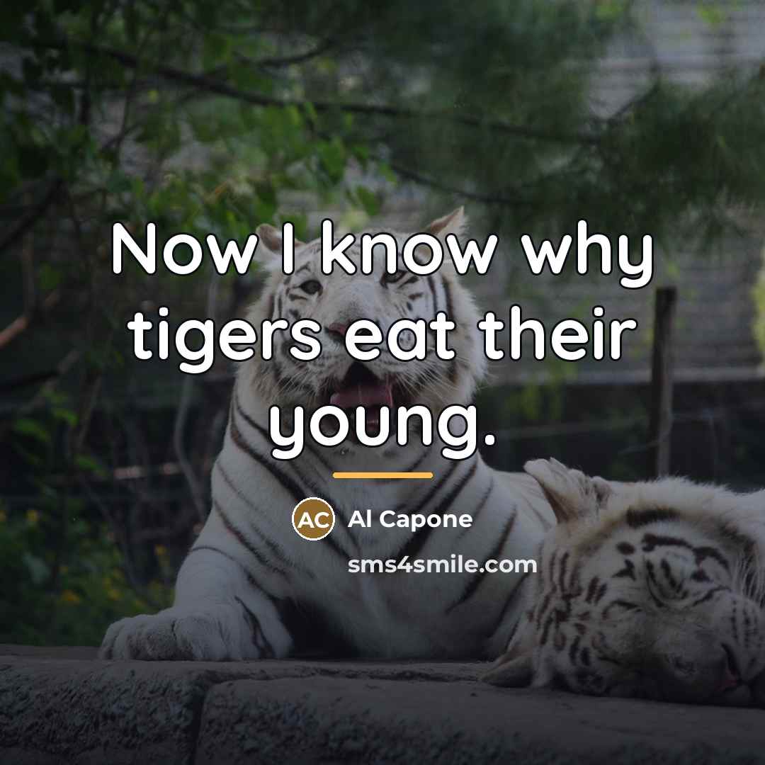 “Now I know why tigers eat their young.…” quote by Al Capone