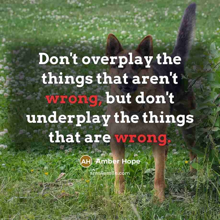“Don't overplay the things that aren't wrong, but don't underplay…” quote by Amber Hope