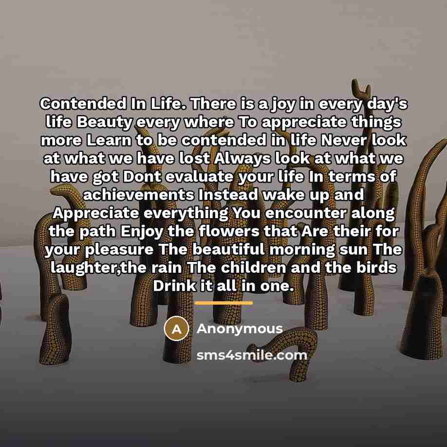 “Contended In Life. There is a joy in every day's…” quote by Anonymous