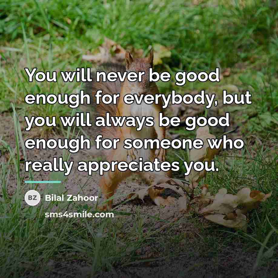 “You will never be good enough for everybody, but you…” quote by Bilal Zahoor