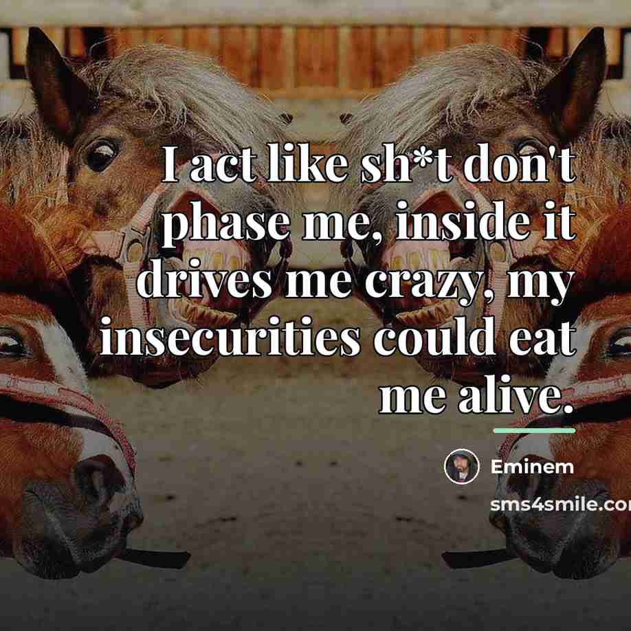 “I act like sh*t don't phase me, inside it drives…” quote by Eminem